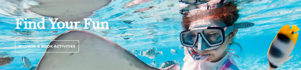 万豪听课房 Marriott Timeshare 万豪听课房 Marriott Timeshare