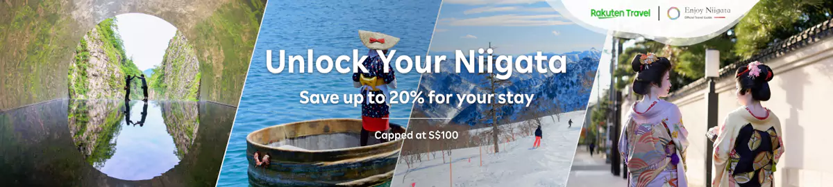 乐天旅游优惠：预订新泻酒店，可享8折优惠（25/2/27前预订）