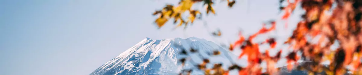 预订及入住日本民宿的注意事项,确认不踩雷 预订及入住日本民宿的注意事项,确认不踩雷