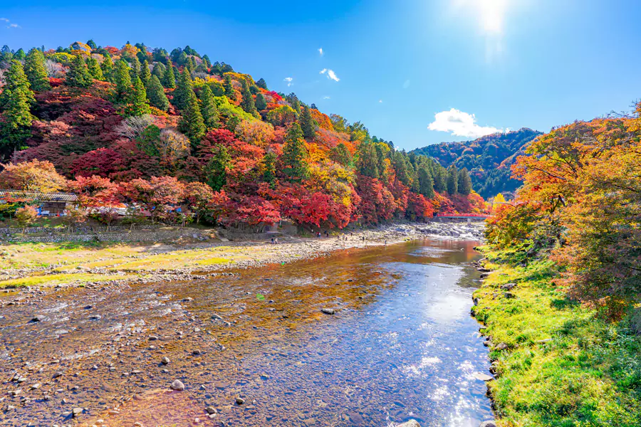 爱知县香岚溪 爱知县香岚溪