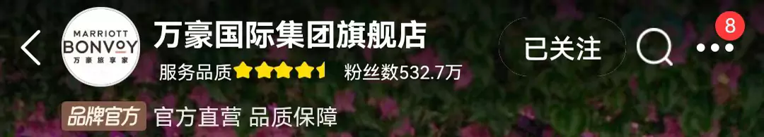 万豪国际集团飞猪旗舰店