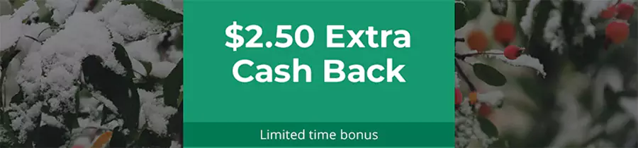 Topcashback 限时购物奖励,购物满15美元返现2.5美元