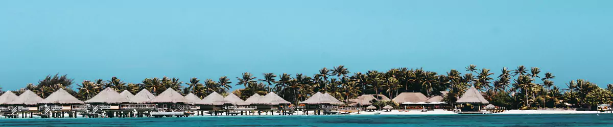 酒店常旅客选择题图