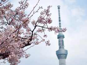 东京晴空塔 Sky Tree