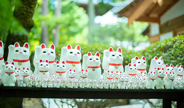 【东京景点】东京豪德寺 - 招财猫的神秘发源地