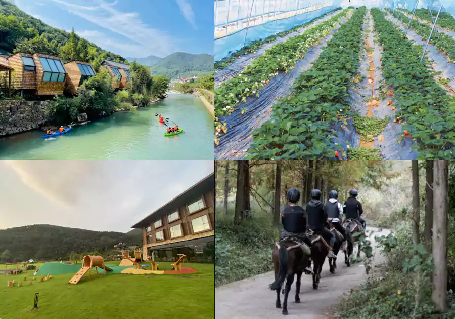 诸暨芳草地度假酒店，亲子游乐项目