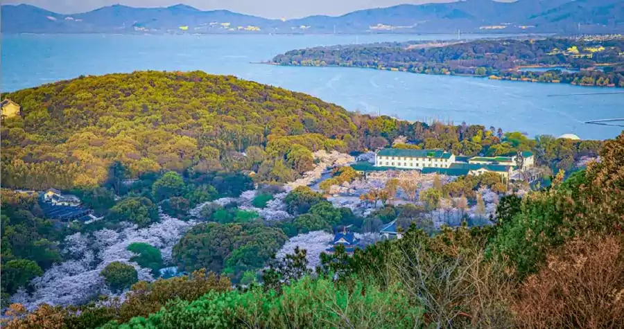 酒店恰好坐落于鼋头渚樱花谷内,前临太湖浩渺碧波,背靠七十二峰连绵翠影,四周樱花环绕 酒店恰好坐落于鼋头渚樱花谷内,前临太湖浩渺碧波,背靠七十二峰连绵翠影,四周樱花环绕