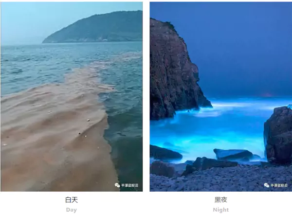 平潭岛的魅力,在白天与夜晚截然不同 平潭岛的魅力,在白天与夜晚截然不同