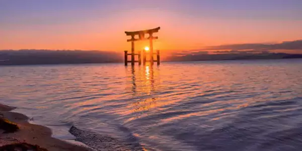 滋贺白须神社 —— 湖中鸟居 滋贺白须神社 —— 湖中鸟居