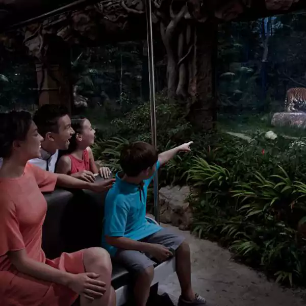 新加坡夜间野生动物园，乘坐导览车