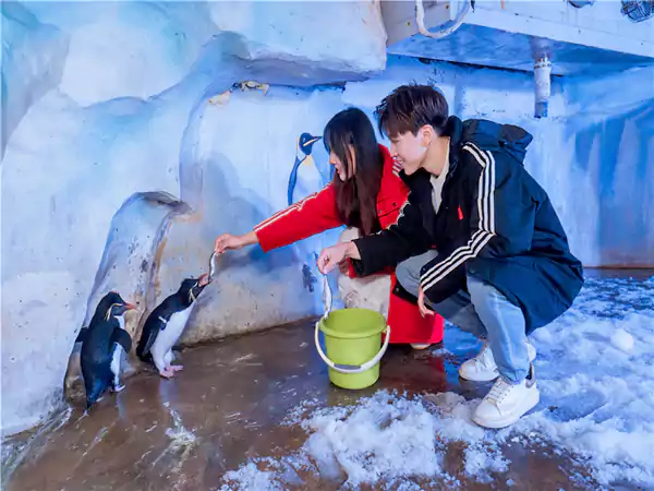 冰雪体验馆:-20℃的夏日冰雪奇遇 冰雪体验馆:-20℃的夏日冰雪奇遇