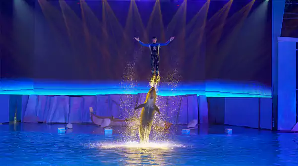 海平线剧场:海天之间的视听盛宴 海平线剧场:海天之间的视听盛宴