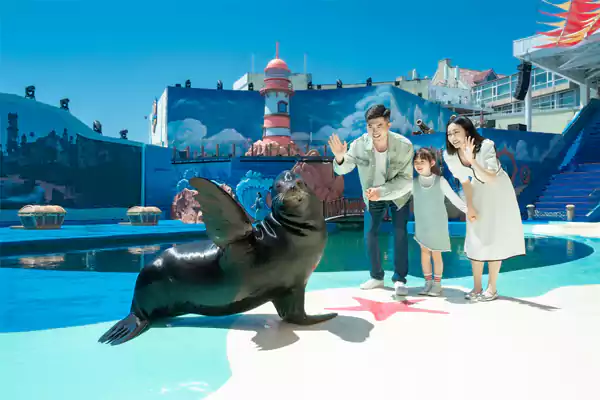 海平线剧场:海天之间的视听盛宴 海平线剧场:海天之间的视听盛宴2