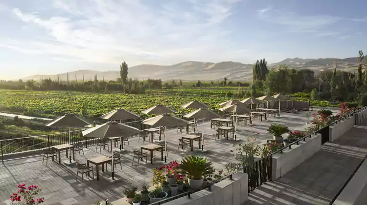 绿洲露台大床房推窗可见沙漠与绿洲交织的奇景 绿洲露台大床房推窗可见沙漠与绿洲交织的奇景