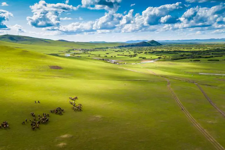呼伦贝尔-草原上的清凉狂欢 呼伦贝尔-草原上的清凉狂欢