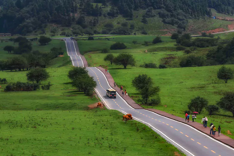 草原与遛马场之间的波浪公路堪称视觉奇观。 草原与遛马场之间的波浪公路堪称视觉奇观。