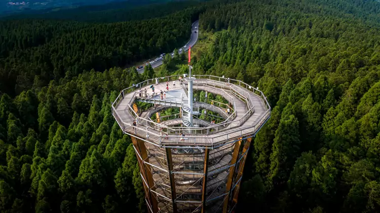 海拔 1880 米的树顶漫步塔楼是必打卡地 海拔 1880 米的树顶漫步塔楼是必打卡地