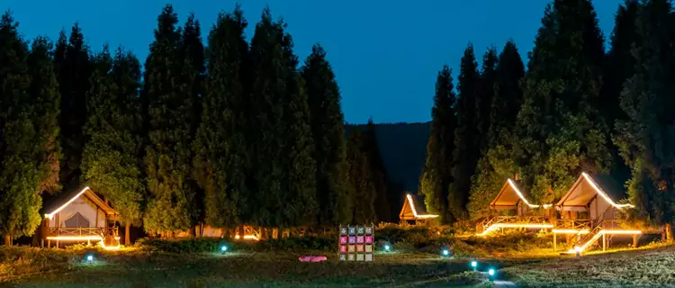 仙女山露营基地是亲子游与团建的绝佳选择 仙女山露营基地是亲子游与团建的绝佳选择