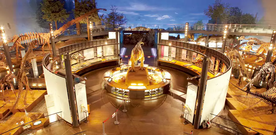 福井恐龙博物馆 福井恐龙博物馆