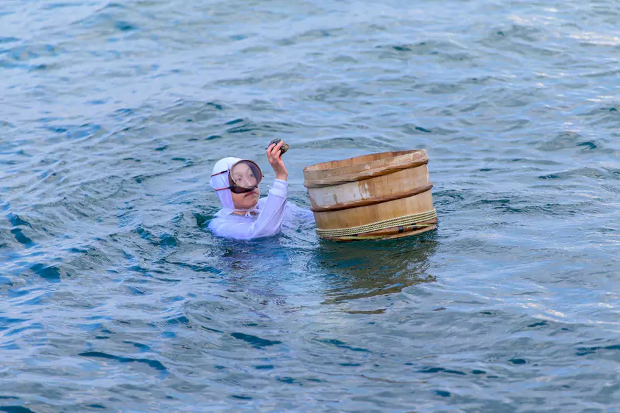 着标志性白色潜水服的海女，不依赖现代潜水设备，仅靠传统呼吸管潜入海湾深处，从牡蛎中轻巧取出珍珠