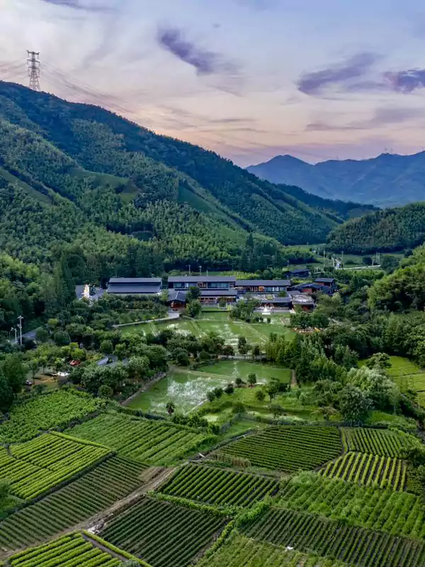 一片灰调建筑群会突然撞进竹海 —— 那就是柏翠姚良的所在 一片灰调建筑群会突然撞进竹海 —— 那就是柏翠姚良的所在