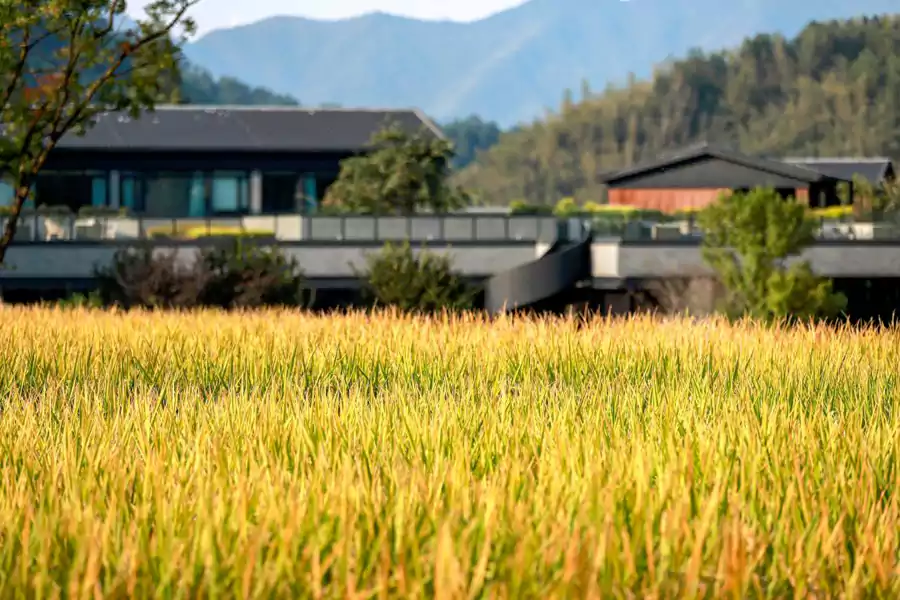 跟着山野的节奏 “慢下来” 跟着山野的节奏 “慢下来”