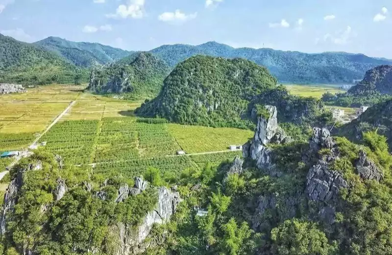 罗定・苹塘镇 罗定・苹塘镇