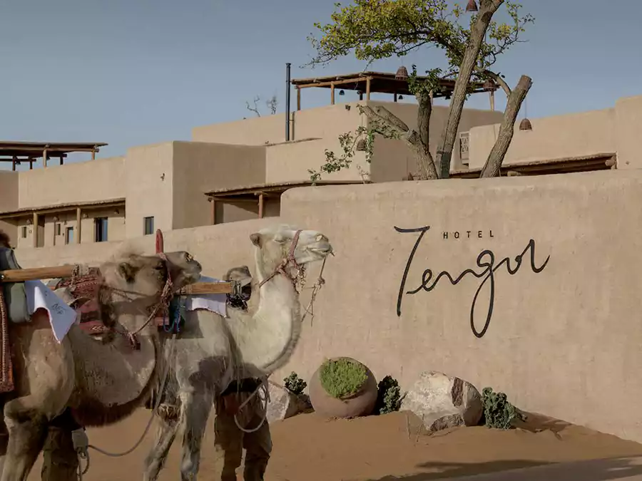 Tengol 的名字藏着巧思，蒙古语中与 “腾格里”（天空之神）同源