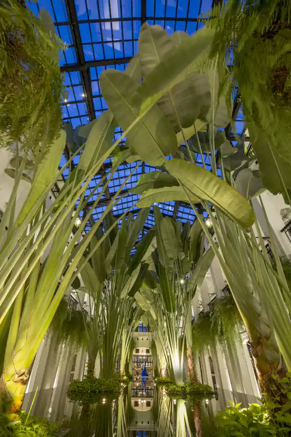 贯穿酒店的玻璃穹顶长廊,灵感源自巴黎奥赛美术馆 贯穿酒店的玻璃穹顶长廊,灵感源自巴黎奥赛美术馆