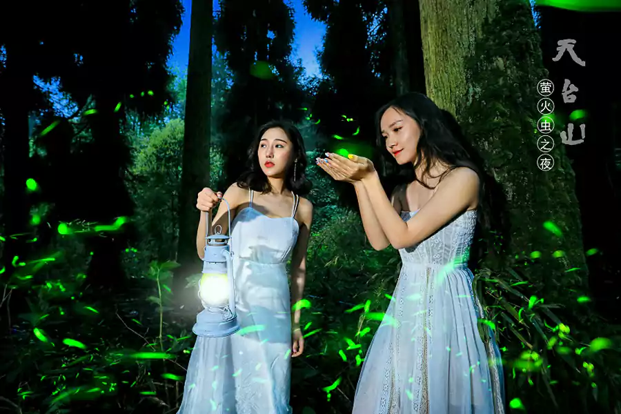 四川邛崃天台山 - 亚洲最大的萤光盛宴 四川邛崃天台山 - 亚洲最大的萤光盛宴