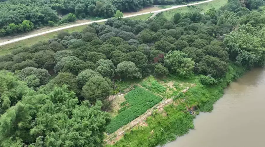 阳春・漠阳江 阳春・漠阳江