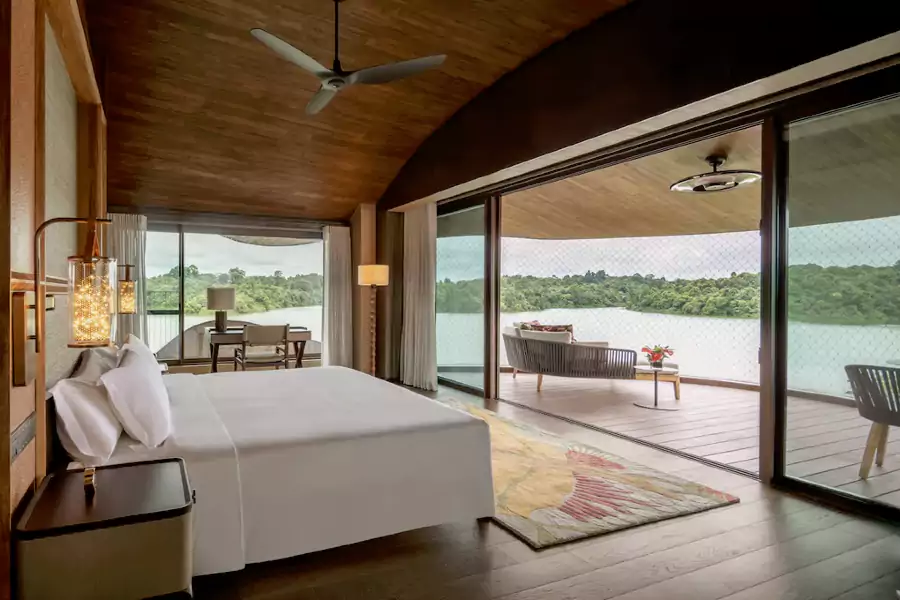 24 座藏在雨林深处的豆荚树屋 24 座藏在雨林深处的豆荚树屋