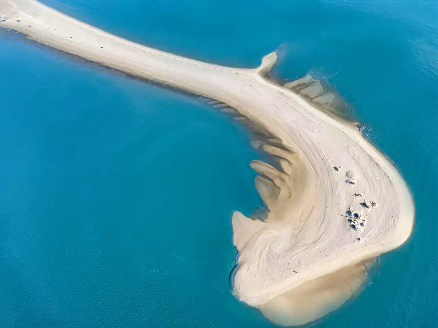 触角沙滩 触角沙滩