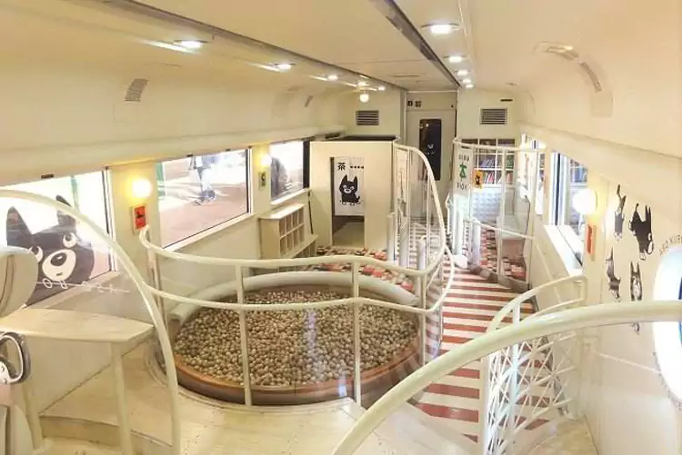 木球游乐池里堆满了柔软的小球 木球游乐池里堆满了柔软的小球