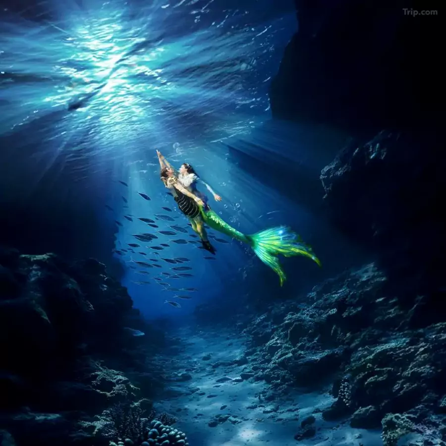 亚特兰蒂斯王国的故事 亚特兰蒂斯王国的故事