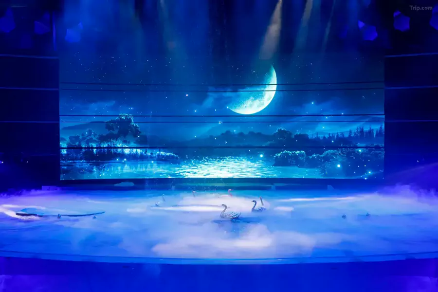 观众坐在剧场中,仿佛置身故事里的海底王国 观众坐在剧场中,仿佛置身故事里的海底王国