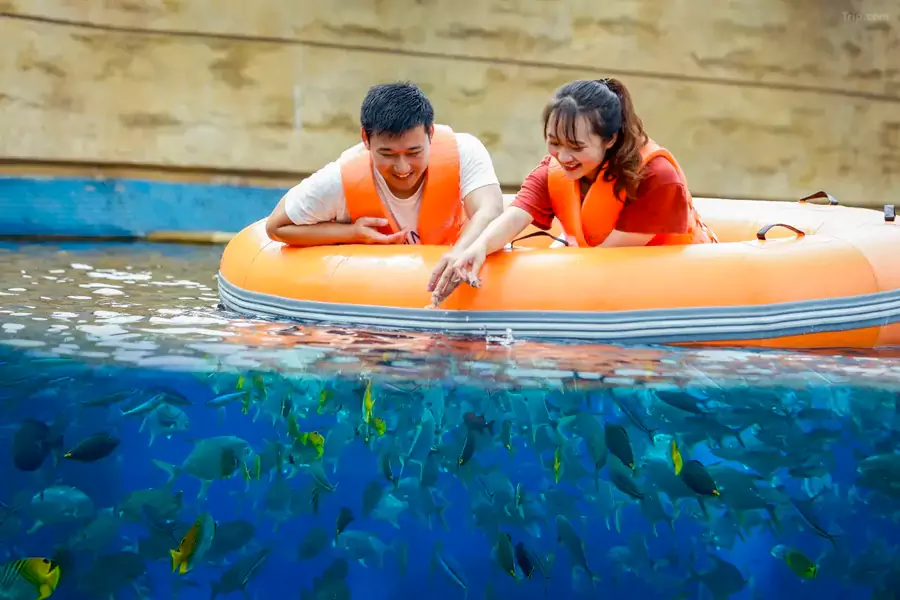 水族馆还提供特色体验项目 水族馆还提供特色体验项目