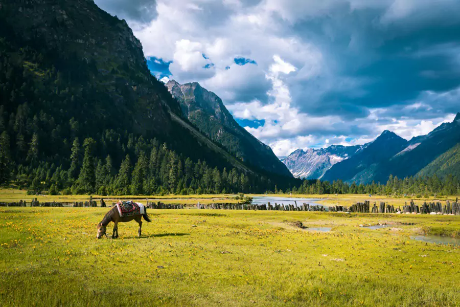 巴松措景区 巴松措景区