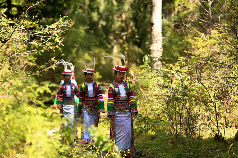 木纹里藏着白马人世代的生活痕迹