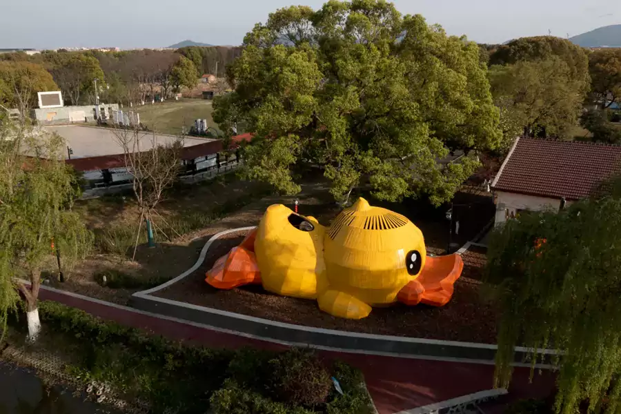 灵感就来自这群勇敢的鸭子