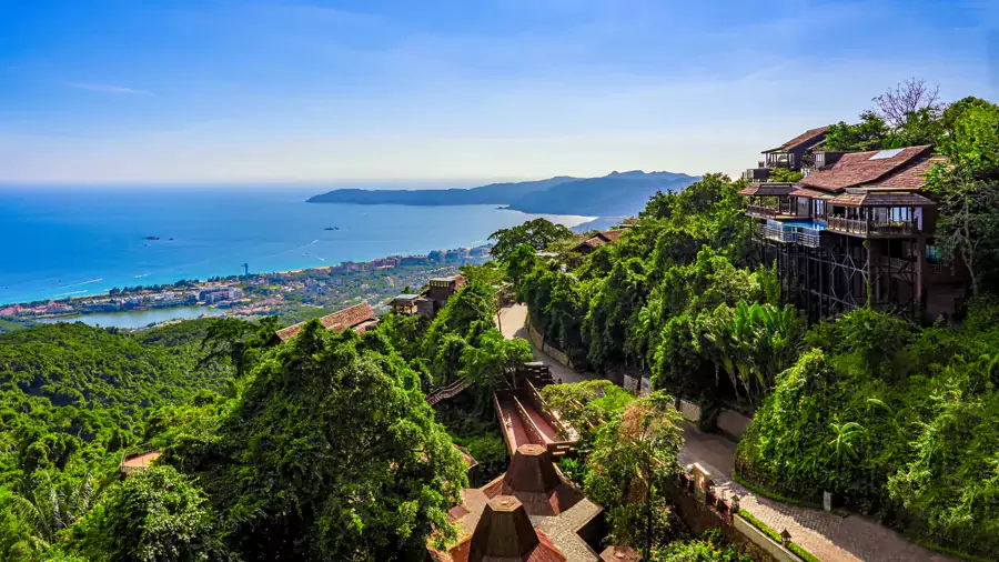 “沉浸式雨林感” “沉浸式雨林感”