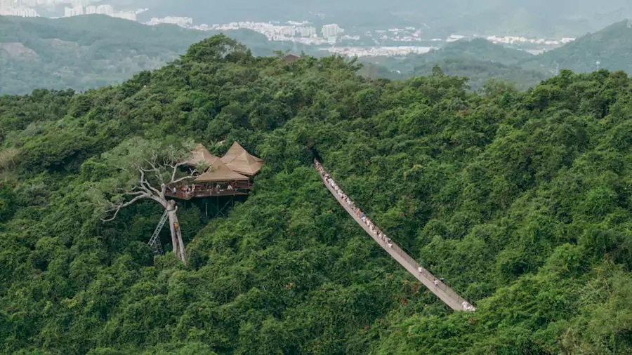过江龙索桥 过江龙索桥