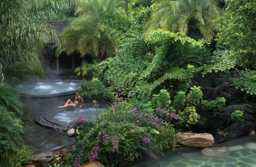 温泉区常年花木繁盛、香氛氤氲 温泉区常年花木繁盛、香氛氤氲