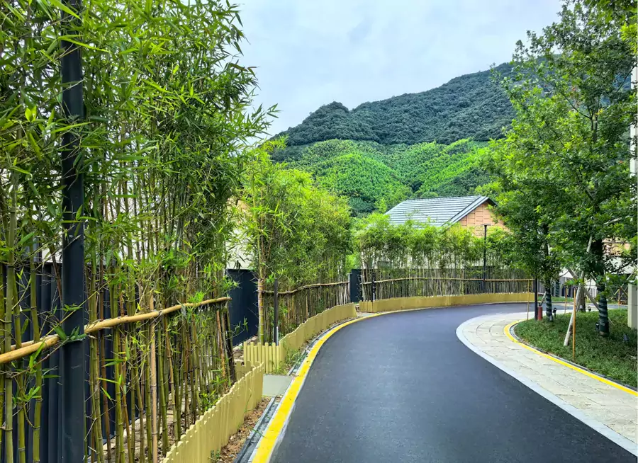 三面环山的格局里，森林覆盖率近 80%