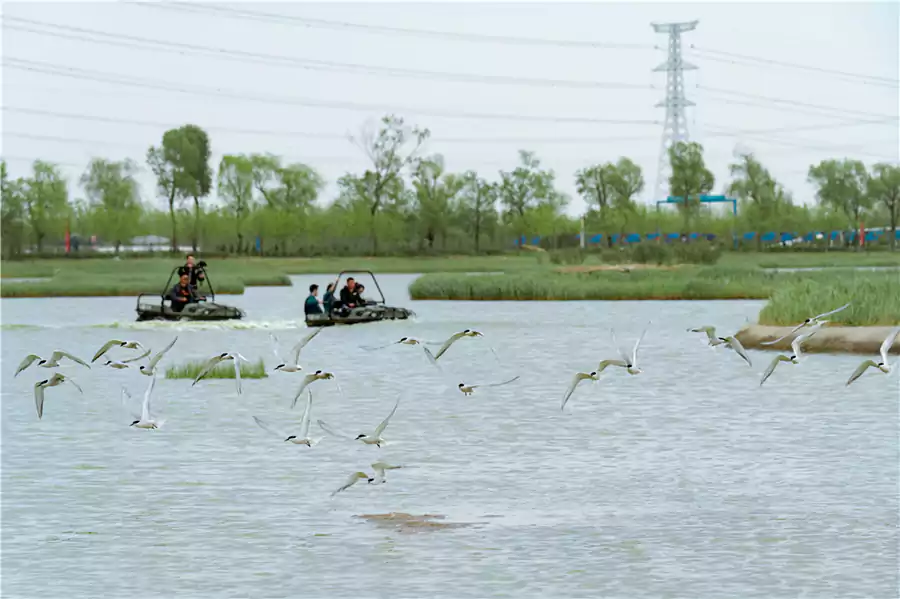 「极限穿越」,水陆两栖越野车既能在陆地开,又能冲进浅水区 「极限穿越」,水陆两栖越野车既能在陆地开,又能冲进浅水区