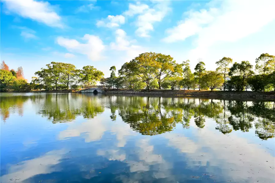 东湖宾馆的春日