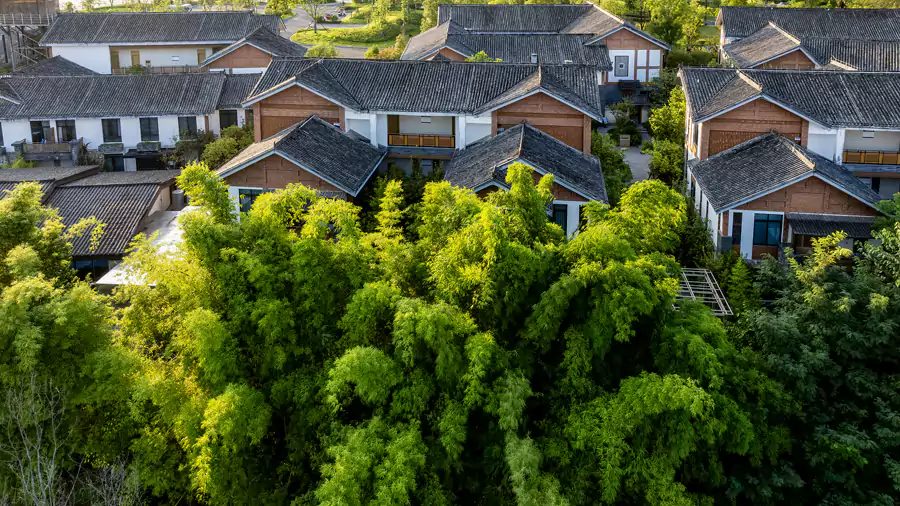 恩阳古镇 恩阳古镇