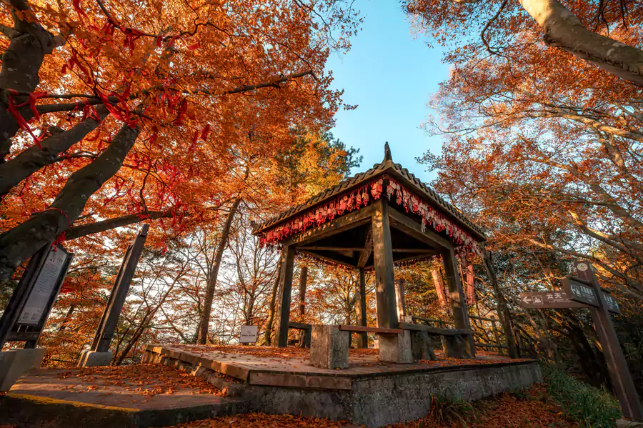 光雾山(桃园)景区 光雾山(桃园)景区