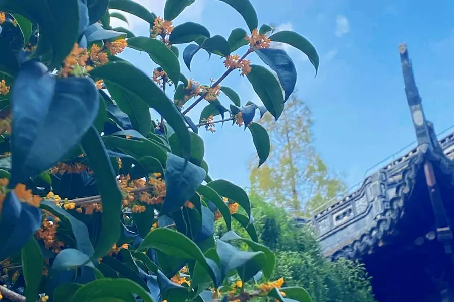 桂林公园 桂林公园