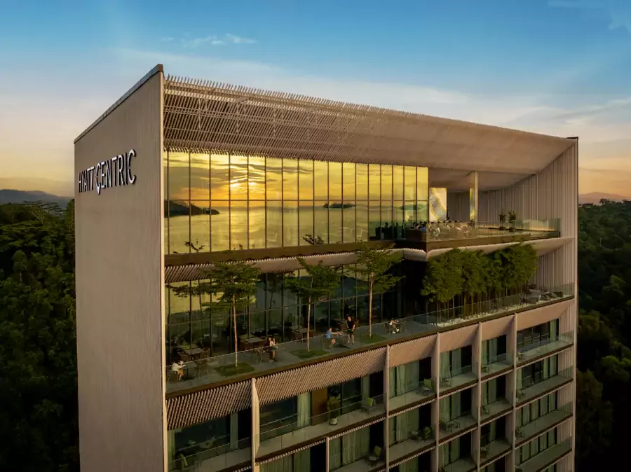 抬头看,屋顶铺着层层叠叠的绿色植物 抬头看,屋顶铺着层层叠叠的绿色植物